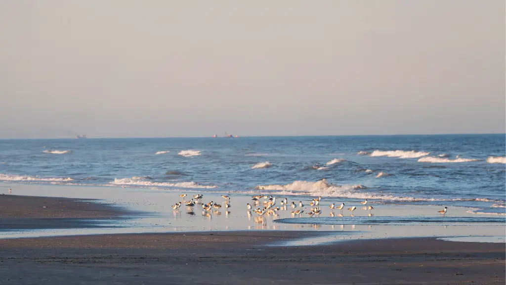 Beach at a tourism destination during the off-season